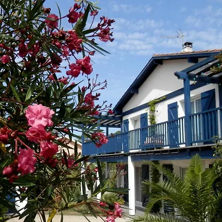 Appartement Osaba Proche Plage Et Terrasse